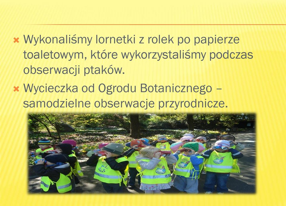 obserwacji ptaków.