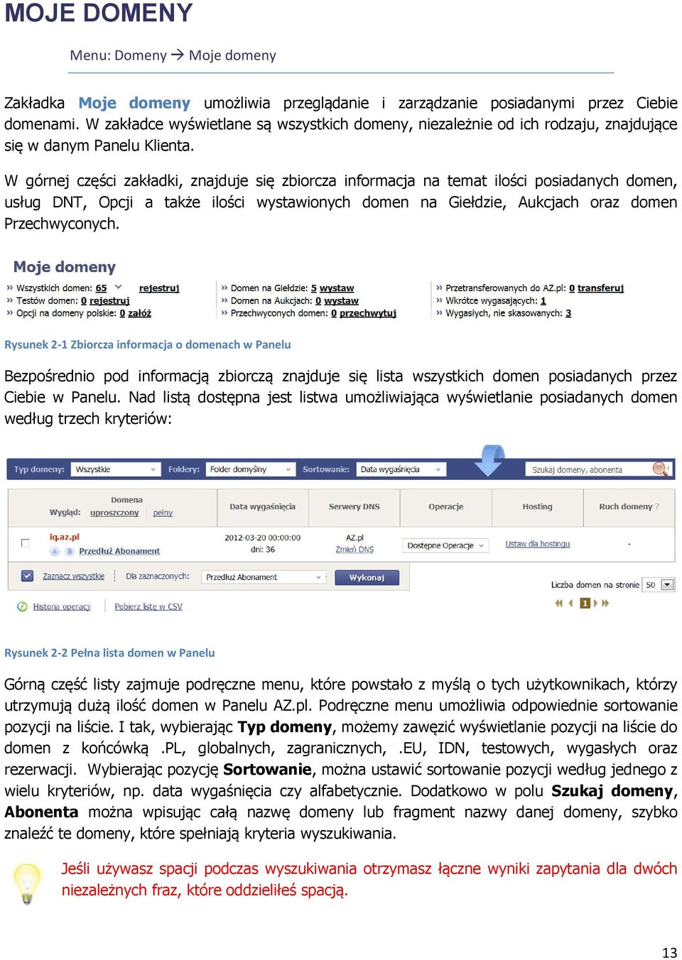 W górnej części zakładki, znajduje się zbiorcza informacja na temat ilości posiadanych domen, usług DNT, Opcji a także ilości wystawionych domen na Giełdzie, Aukcjach oraz domen Przechwyconych.