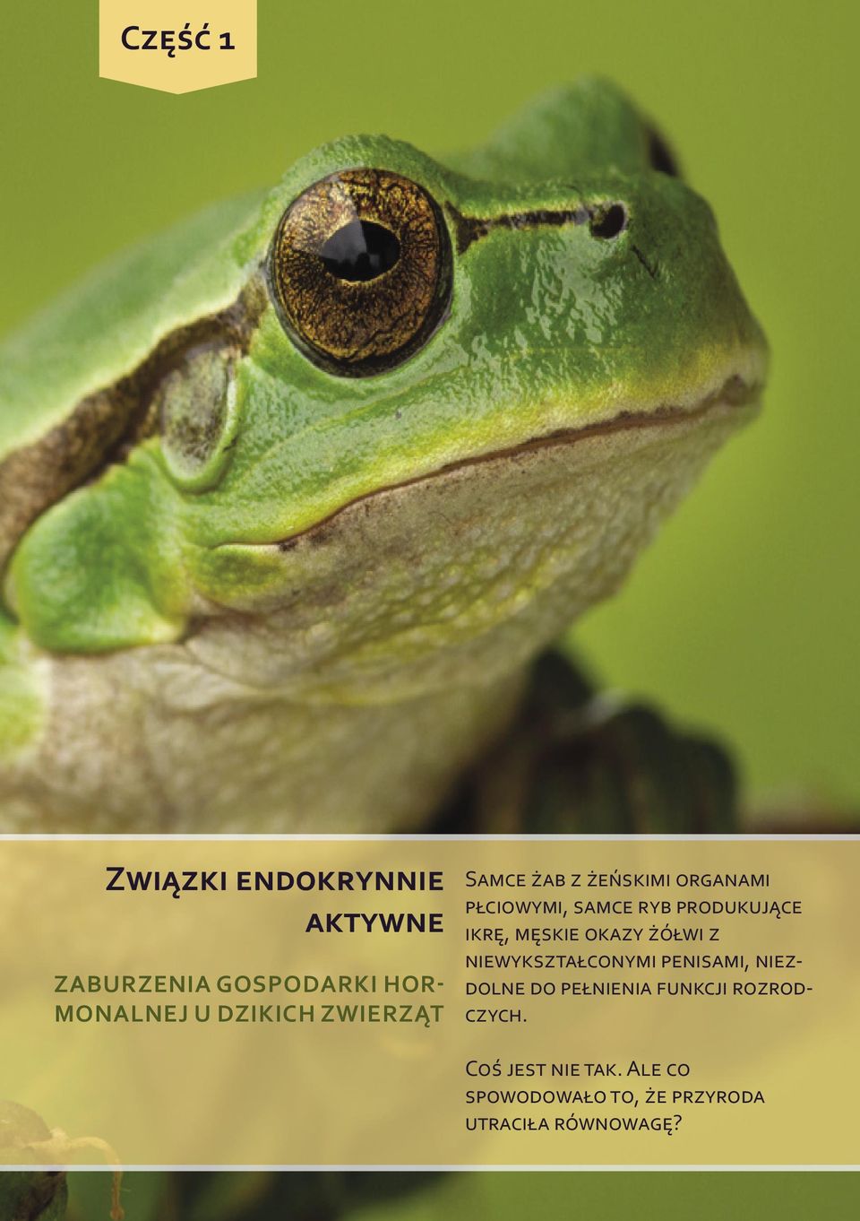MONALNEJ U DZIKICH
