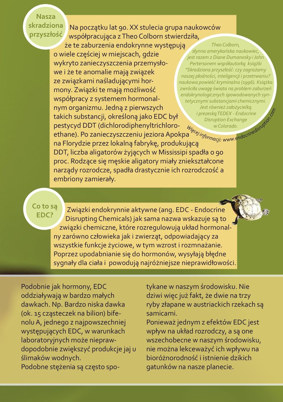 mają związek ze związkami naśladującymi hormony. Związki te mają możliwość współpracy z systemem hormonalnym organizmu.