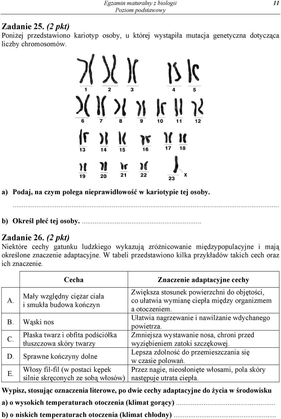 (2 pkt) Niektóre cechy gatunku ludzkiego wykazują zróżnicowanie międzypopulacyjne i mają określone znaczenie adaptacyjne. W tabeli przedstawiono kilka przykładów takich cech oraz ich znaczenie. A.