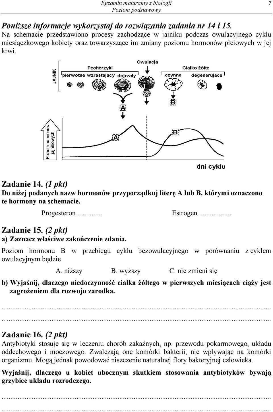 (1 pkt) Do niżej podanych nazw hormonów przyporządkuj literę A lub B, którymi oznaczono te hormony na schemacie. Progesteron... Estrogen... Zadanie 15. (2 pkt) a) Zaznacz właściwe zakończenie zdania.