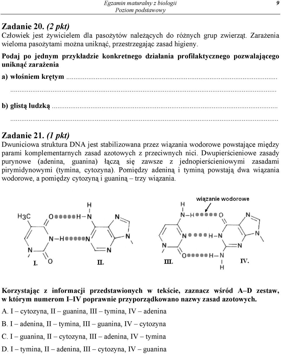 (1 pkt) Dwuniciowa struktura DNA jest stabilizowana przez wiązania wodorowe powstające między parami komplementarnych zasad azotowych z przeciwnych nici.