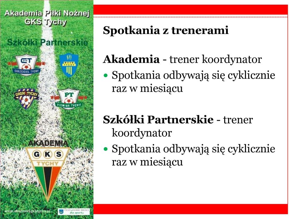 raz w miesiącu Szkółki Partnerskie - trener 