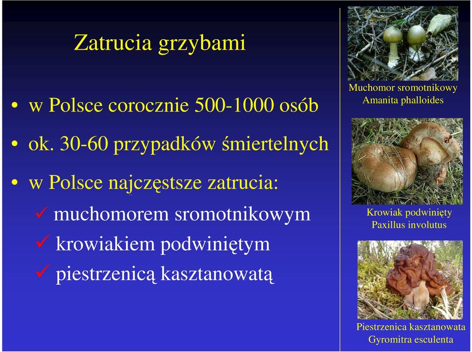 30-60 przypadków śmiertelnych w Polsce najczęstsze zatrucia: muchomorem