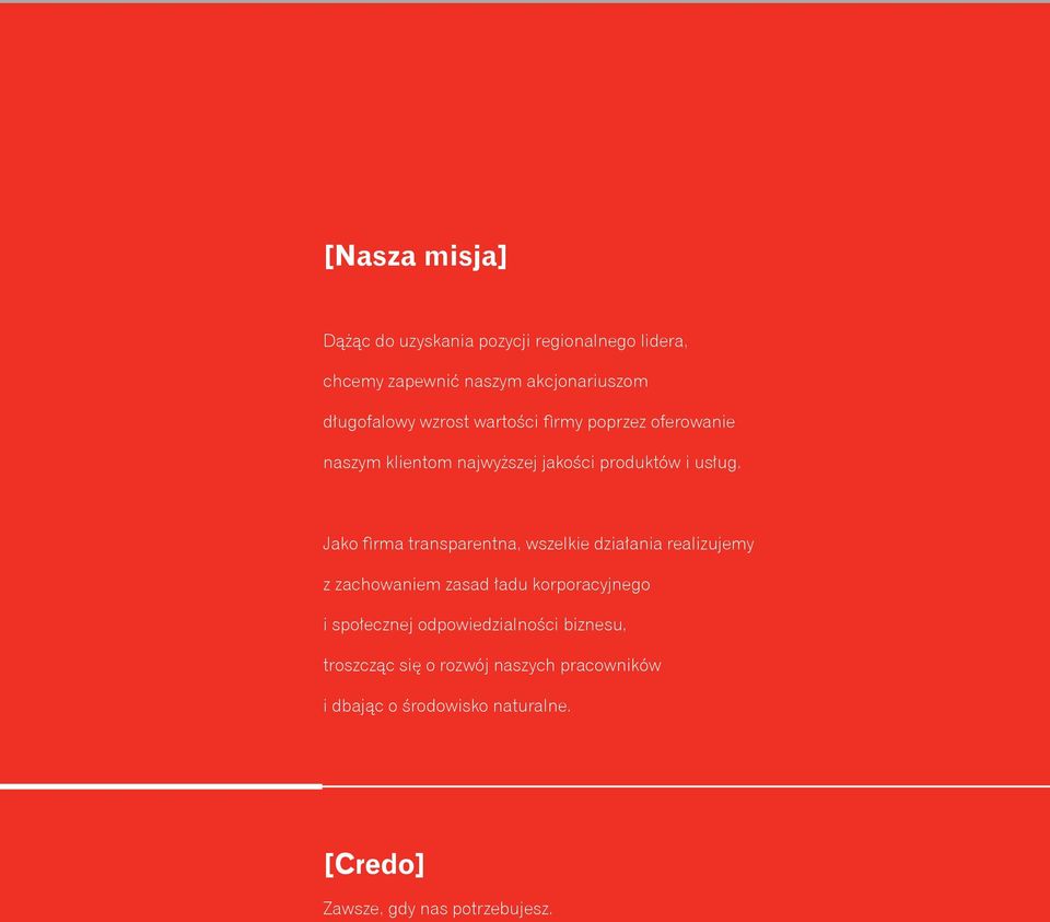 Jako firma transparentna, wszelkie działania realizujemy z zachowaniem zasad ładu korporacyjnego i społecznej