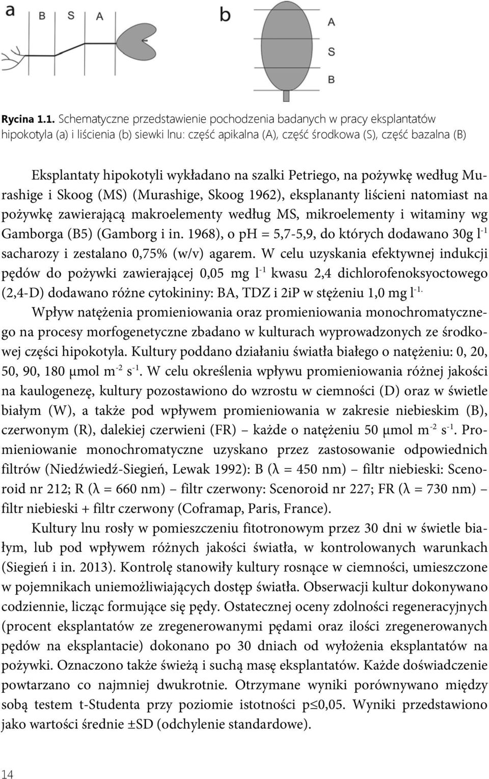 wykładano na szalki Petriego, na pożywkę według Murashige i Skoog (MS) (Murashige, Skoog 1962), eksplananty liścieni natomiast na pożywkę zawierającą makroelementy według MS, mikroelementy i witaminy