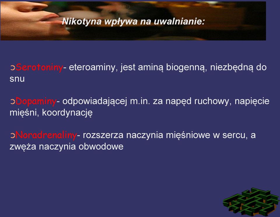 m.in. za napęd ruchowy, napięcie mięśni, koordynację