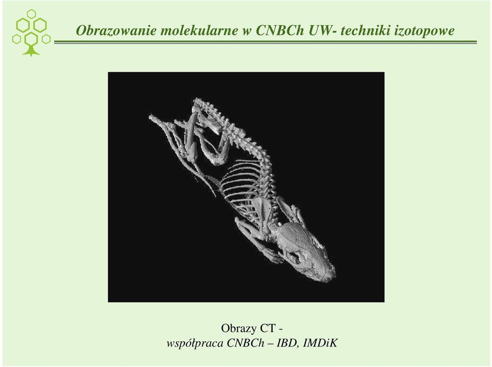 izotopowe Obrazy CT -