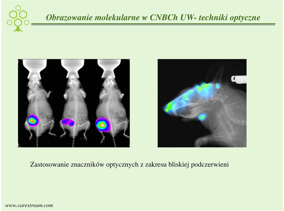 znaczników optycznych z zakresu