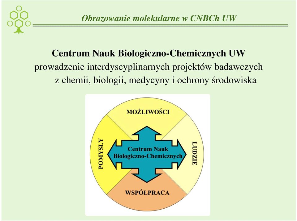 interdyscyplinarnych projektów badawczych z