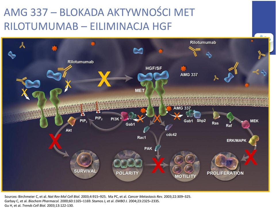 2003;22:309 325. Garbay C, et al. Biochem Pharmacol. 2000;60:1165 1169.