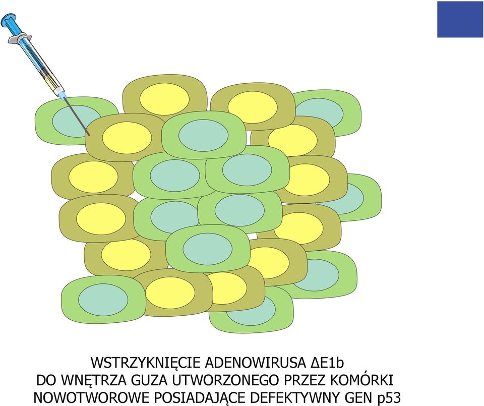 UTWORZONEGO PRZEZ KOMÓRKI