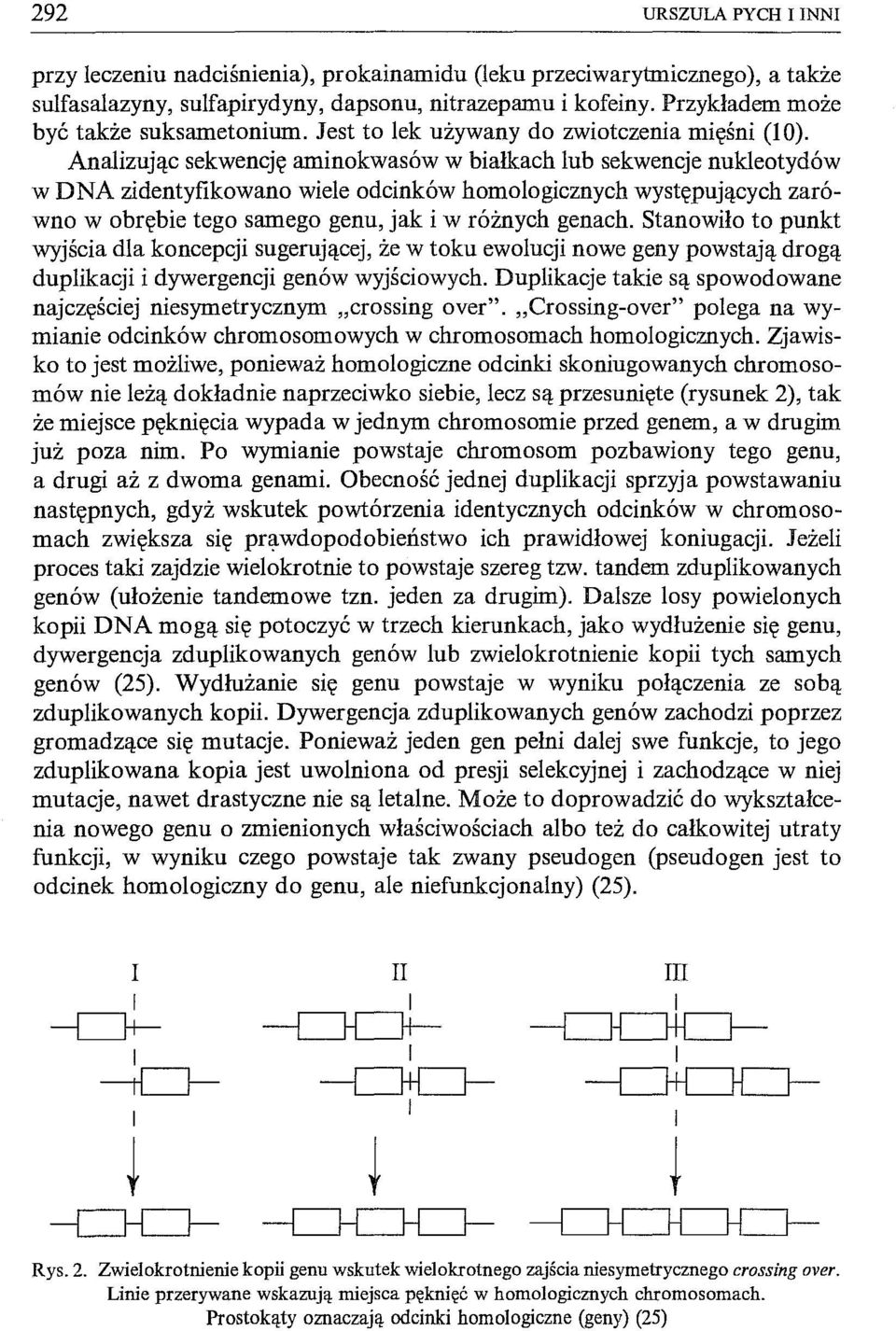 Analizując sekwencję aminokwasów w białkach lub sekwencje nukleotydów w DNA zidentyfikowano wiele odcinków homologicznych występujących zarówno w obrębie tego samego genu, jak i w różnych genach.