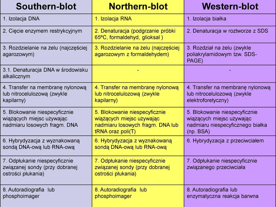 Rozdział na żelu (zwykle poliakrylamidowym tzw. SDS- PAGE) - - 4. Transfer na membranę nylonową lub nitrocelulozową (zwykle kapilarny) 5.