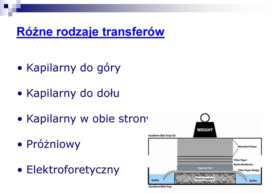 do dołu Kapilarny w obie