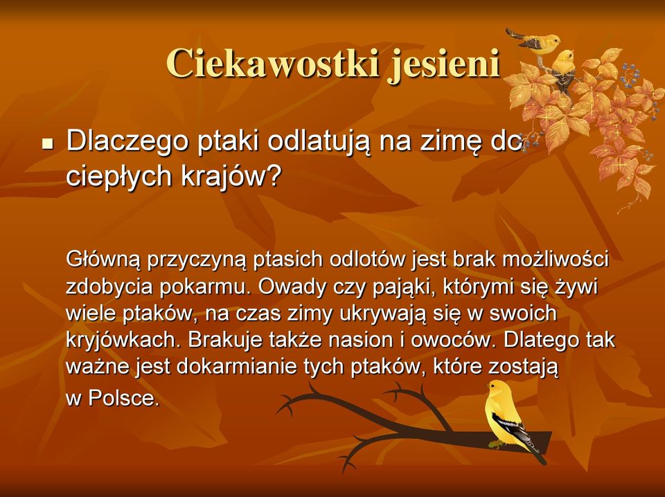 Owady czy pająki, którymi się żywi wiele ptaków, na czas zimy ukrywają się w swoich