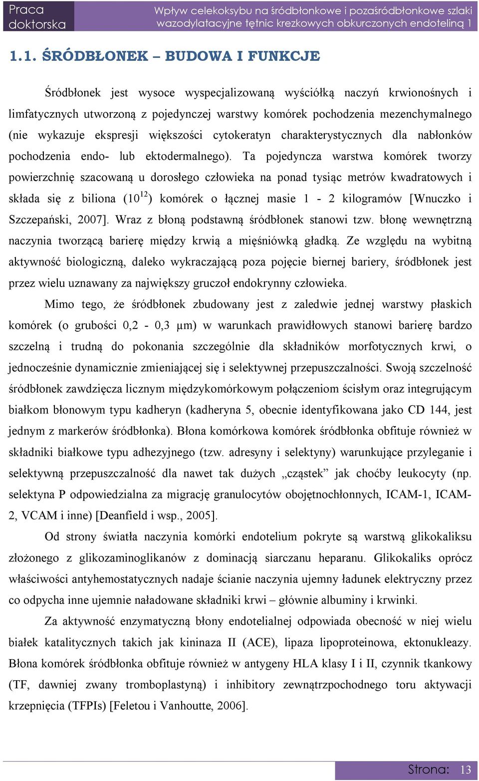 Ta pojedyncza warstwa komórek tworzy powierzchnię szacowaną u dorosłego człowieka na ponad tysiąc metrów kwadratowych i składa się z biliona (10 12 ) komórek o łącznej masie 1-2 kilogramów [Wnuczko i