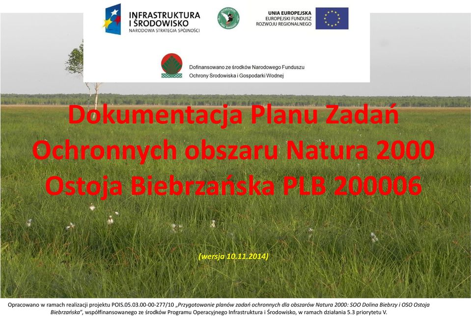00-00-277/10 Przygotowanie planów zadań ochronnych dla obszarów Natura 2000: SOO Dolina Biebrzy i