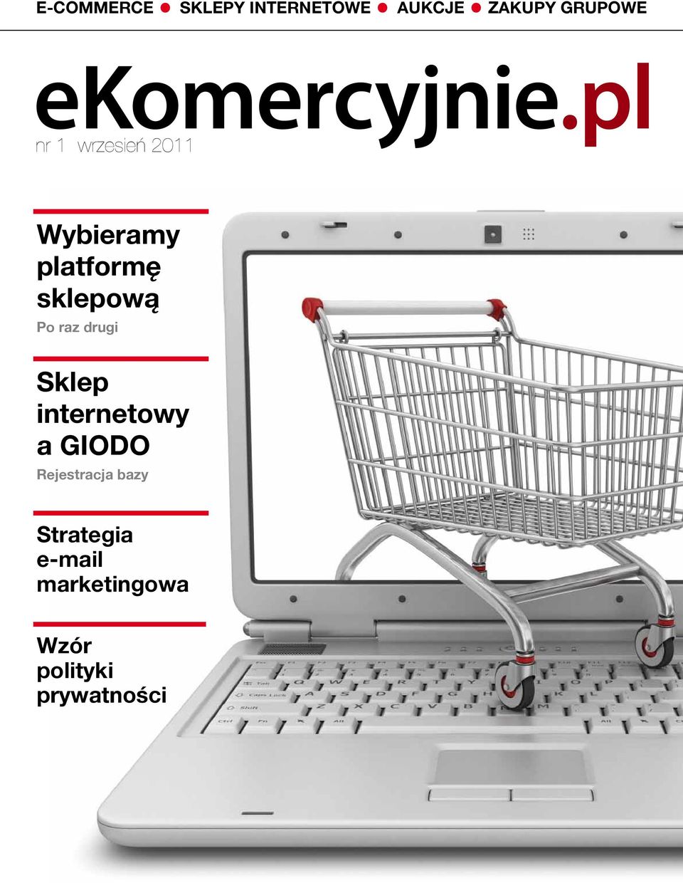 pl nr 1 wrzesień 2011 Wybieramy platformę sklepową Po