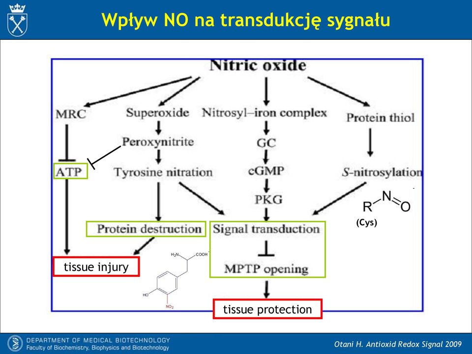 injury tissue protection