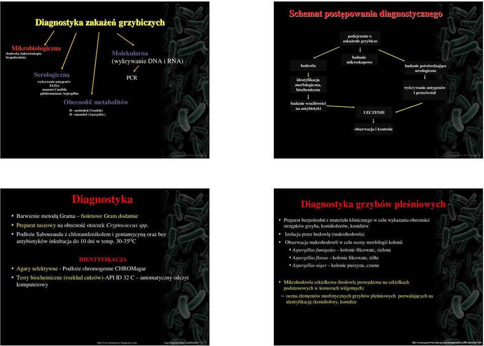 wrażliwości na antybiotyki podejrzenie o zakażenie grzybicze badanie mikroskopowe LECZENIE badanie potwierdzające serologiczne wykrywanie antygenów i przeciwciał obserwacja i kontrola Diagnostyka