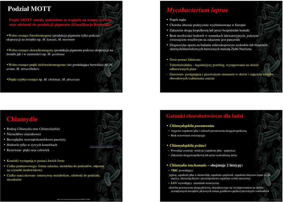 M. avium, M. intracellulare Prątki szybko rosnące np. M. chelonae, M.