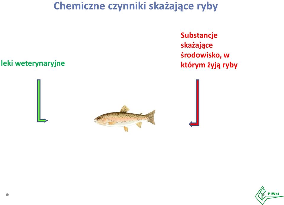 weterynaryjne Substancje