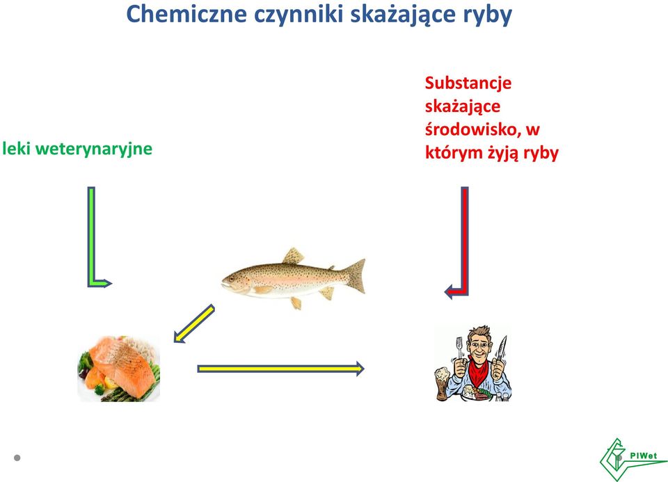 weterynaryjne Substancje