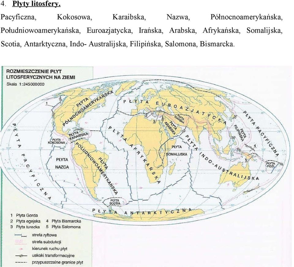 Północnoamerykańska, Południowoamerykańska, Euroazjatycka,