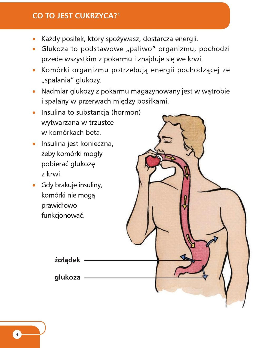 Komórki organizmu potrzebują ener gii po cho dzą cej ze spalania glukozy.