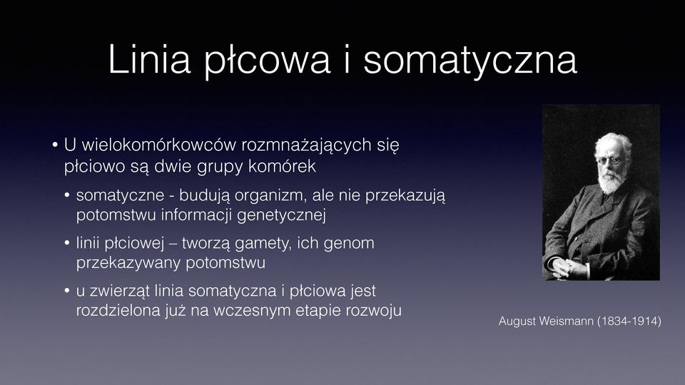 genetycznej linii płciowej tworzą gamety, ich genom przekazywany potomstwu u zwierząt