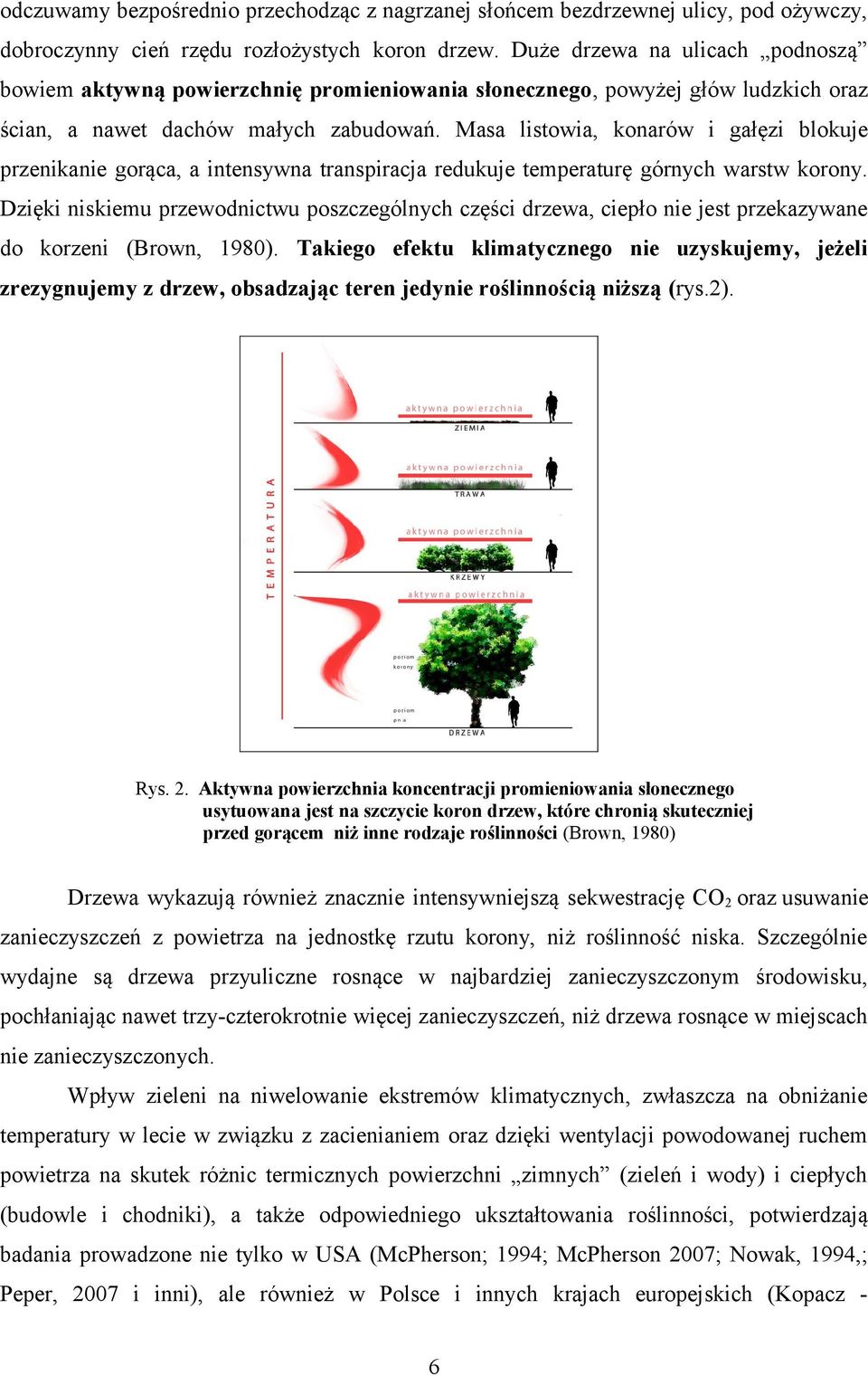 Masa listowia, konarów i gałęzi blokuje przenikanie gorąca, a intensywna transpiracja redukuje temperaturę górnych warstw korony.