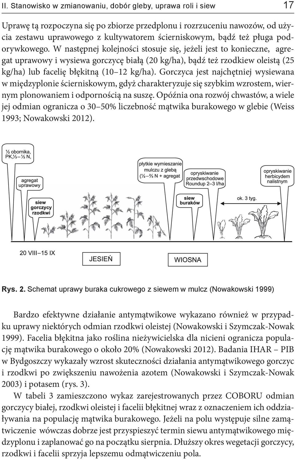 W następnej kolejności stosuje się, jeżeli jest to konieczne, agregat uprawowy i wysiewa gorczycę białą (20 kg/ha), bądź też rzodkiew oleistą (25 kg/ha) lub facelię błękitną (10 12 kg/ha).