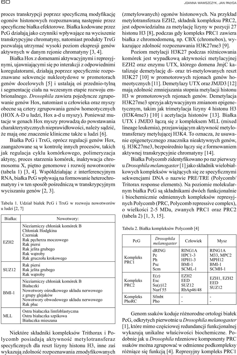 chromatyny [3, 4].