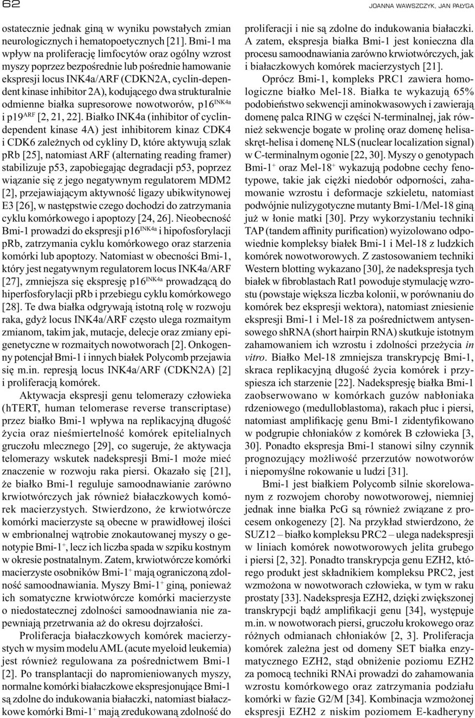 strukturalnie odmienne białka supresorowe nowotworów, p16 INK4a i p19 ARF [2, 21, 22].