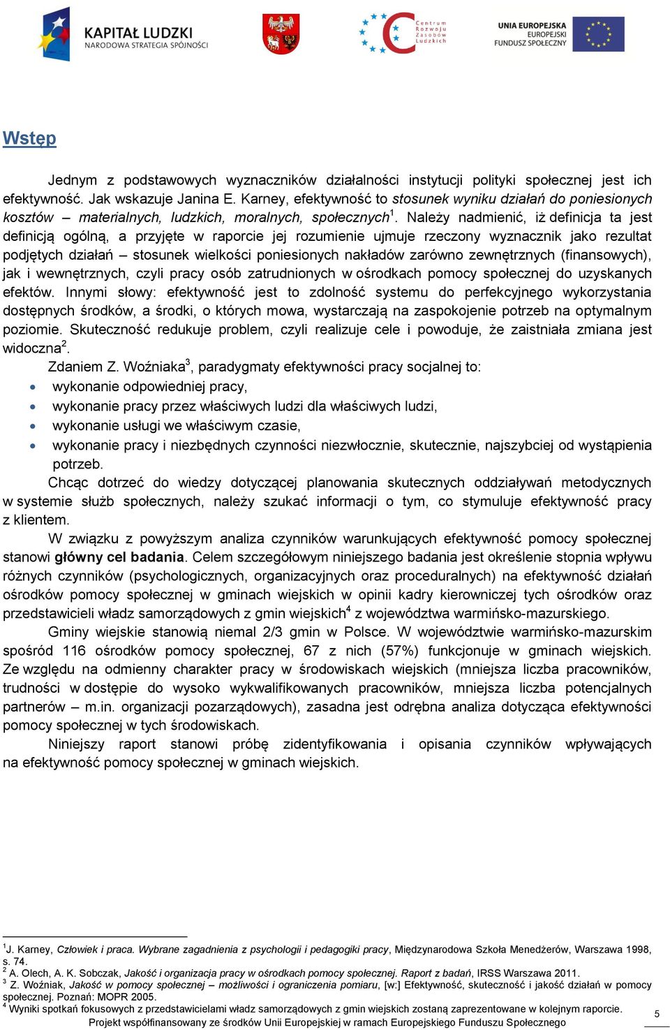 Należy nadmienić, iż definicja ta jest definicją ogólną, a przyjęte w raporcie jej rozumienie ujmuje rzeczony wyznacznik jako rezultat podjętych działań stosunek wielkości poniesionych nakładów