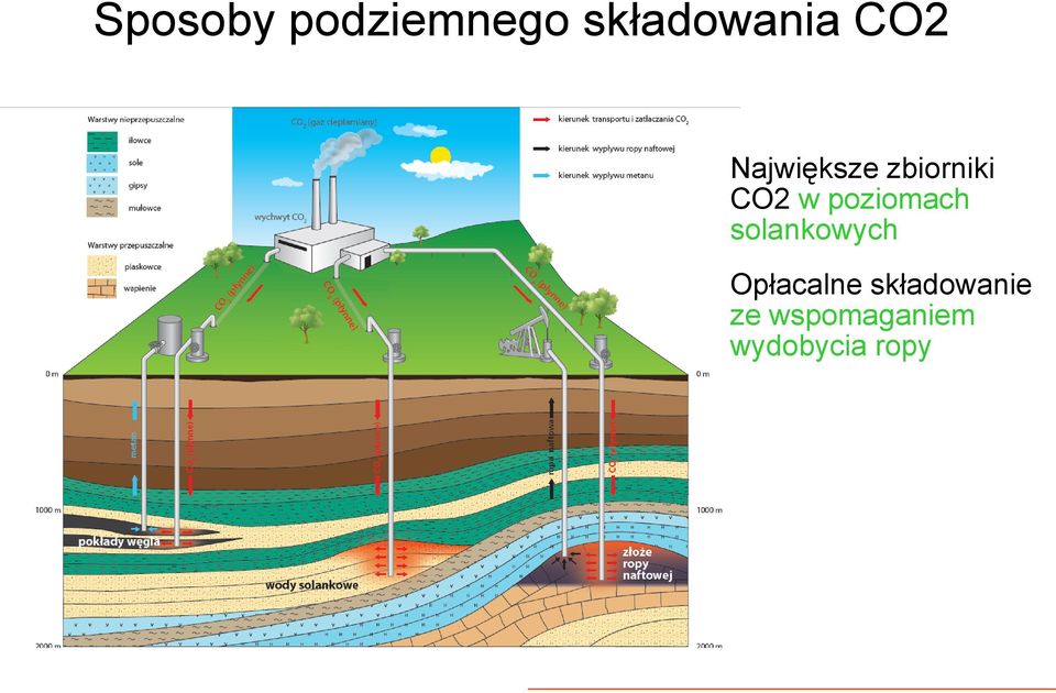 poziomach solankowych Opłacalne