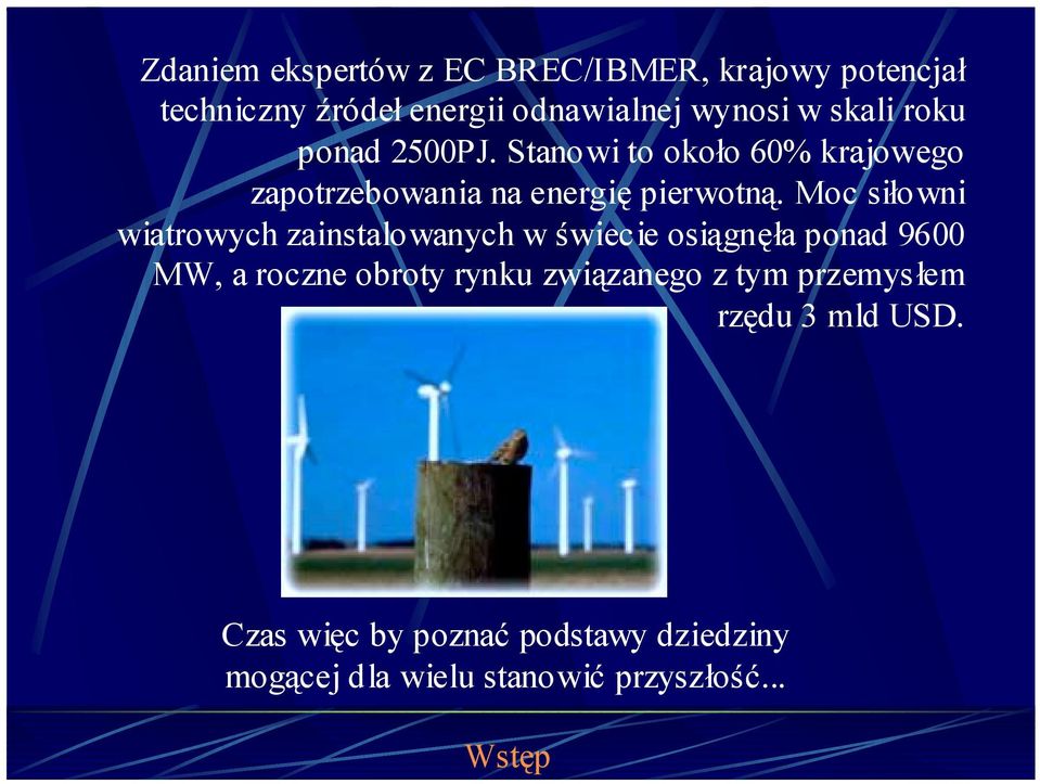 Moc siłowni wiatrowych zainstalowanych w świecie osiągnęła ponad 9600 MW, a roczne obroty rynku