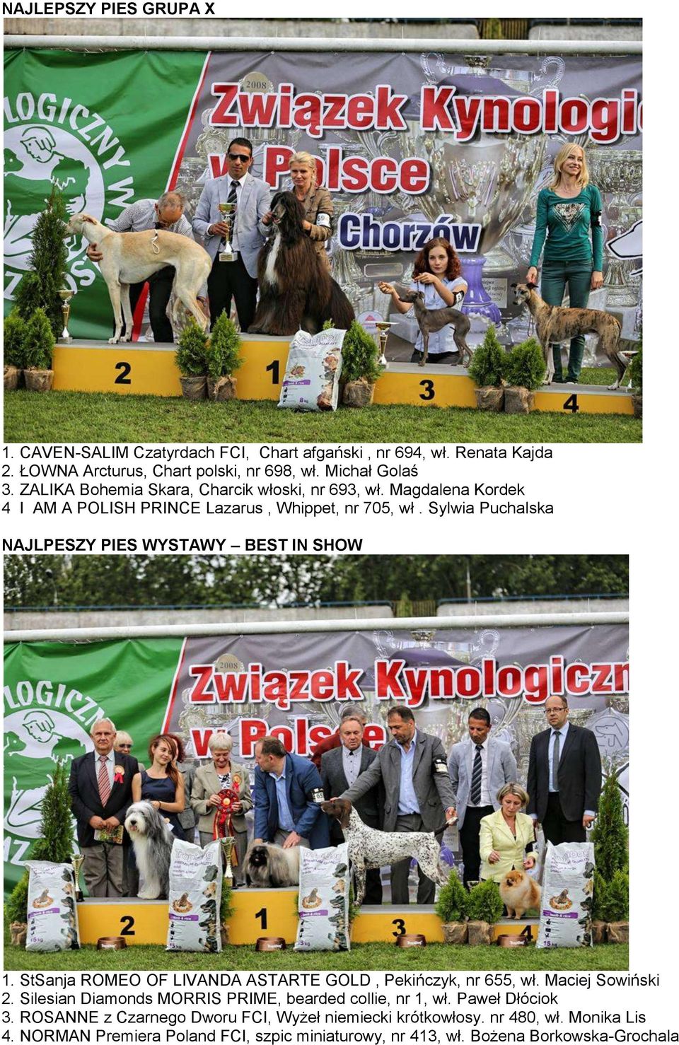 Sylwia Puchalska NAJLPESZY PIES WYSTAWY BEST IN SHOW 1. StSanja ROMEO OF LIVANDA ASTARTE GOLD, Pekińczyk, nr 655, wł. Maciej Sowiński 2.