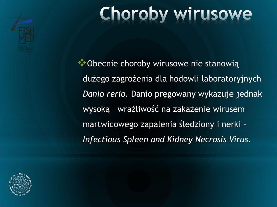 Danio pręgowany wykazuje jednak wysoką wrażliwość na zakażenie