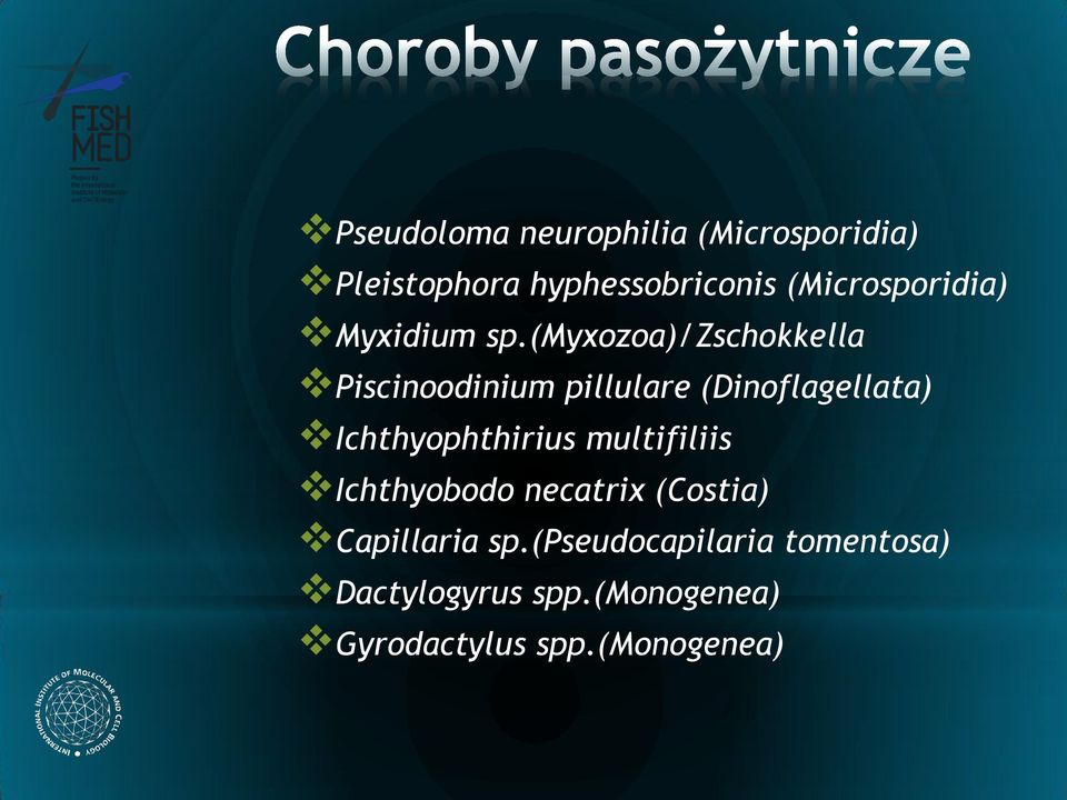 (myxozoa)/zschokkella Piscinoodinium pillulare (Dinoflagellata)