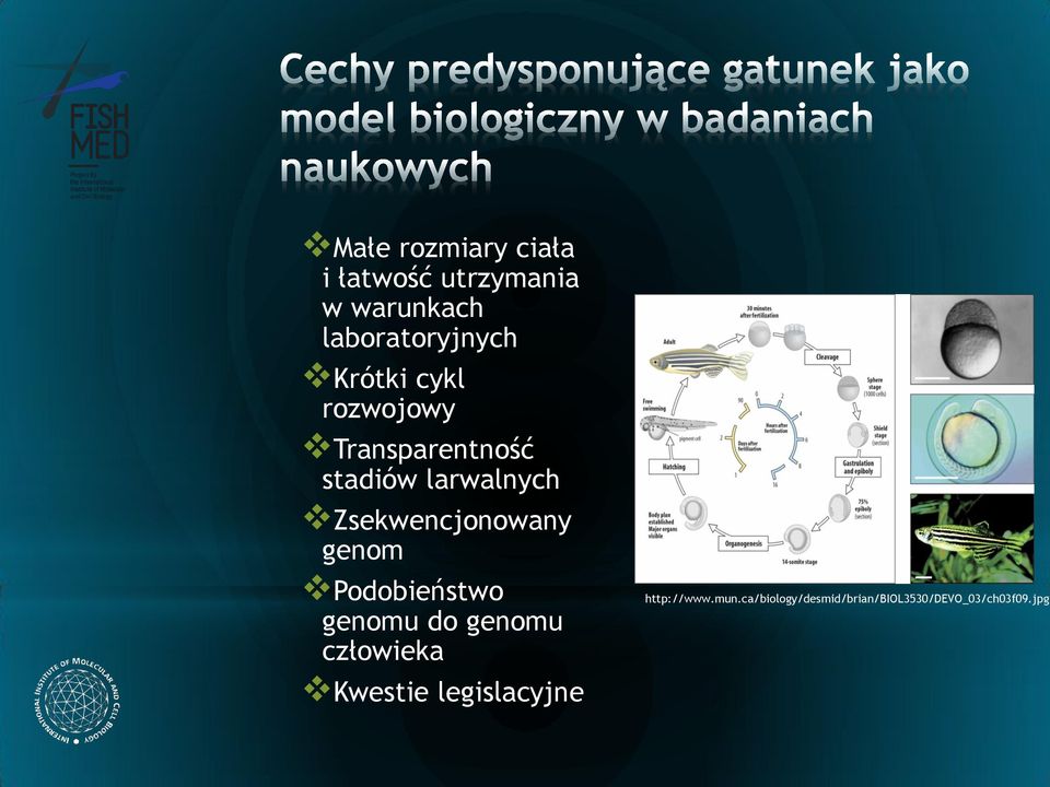 Zsekwencjonowany genom Podobieństwo genomu do genomu człowieka