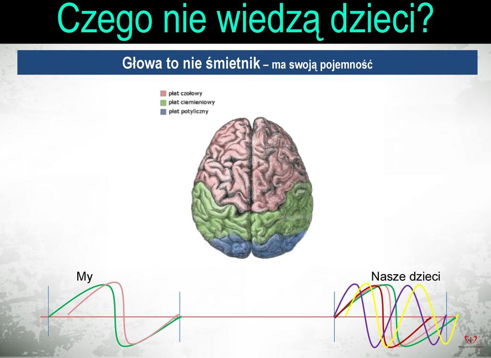 Głowa to nie