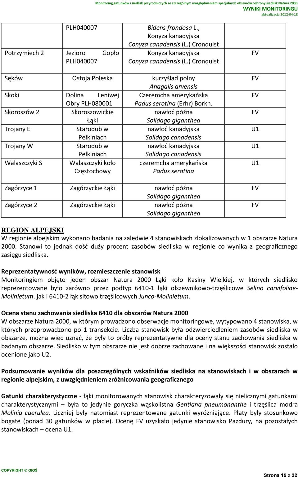 Skoroszów 2 Skoroszowickie nawłoć późna Łąki Solidago giganthea Trojany E Starodub w nawłoć kanadyjska Pełkiniach Solidago canadensis Trojany W Starodub w nawłoć kanadyjska Pełkiniach Solidago