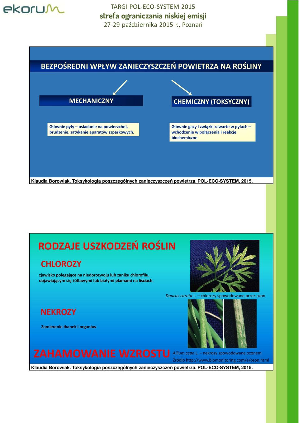 Głównie gazy i związki zawarte w pyłach wchodzenie w połączenia i reakcje biochemiczne RODZAJE USZKODZEŃ ROŚLIN CHLOROZY zjawisko polegające na