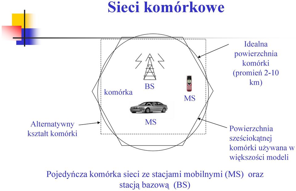 Powierzchnia sze ciok tnej komórki u ywana w wi kszo ci