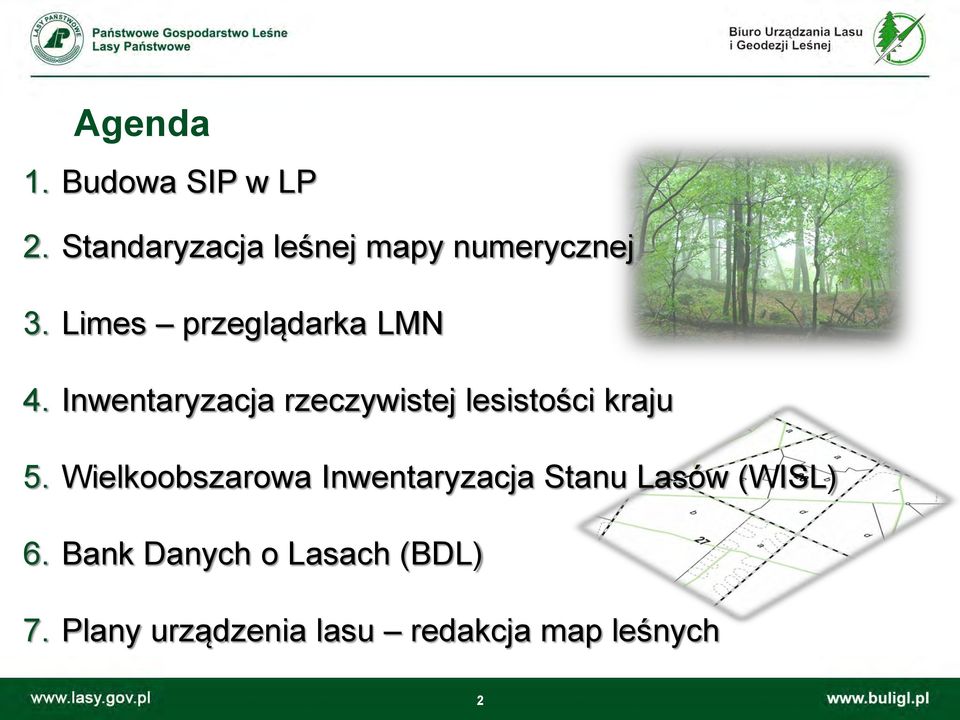 Wielkoobszarowa Inwentaryzacja Stanu Lasów (WISL) 6.