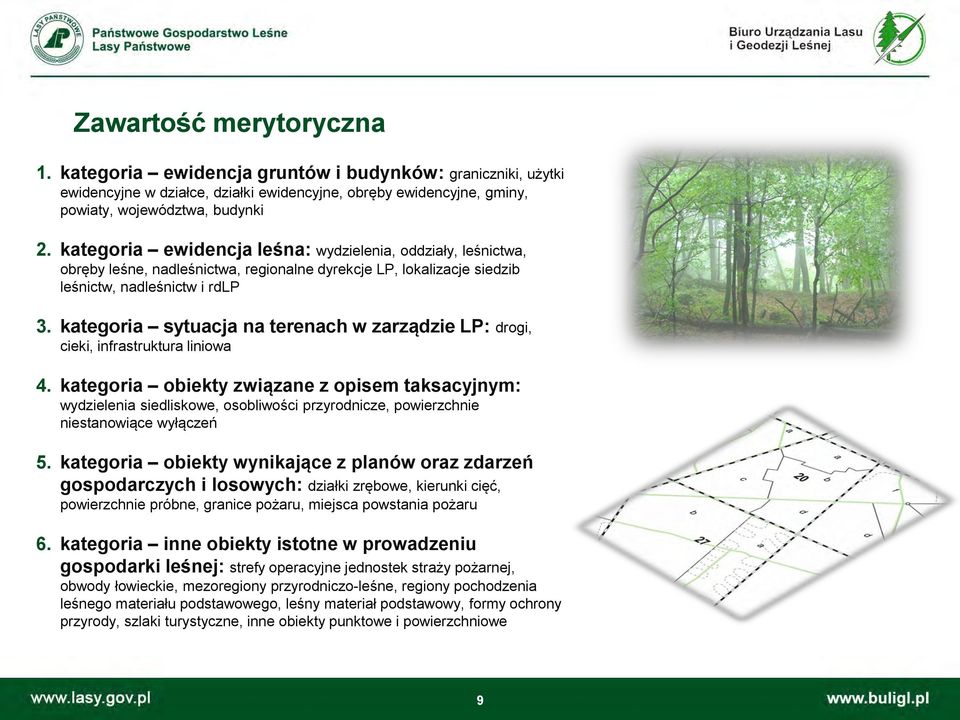 kategoria sytuacja na terenach w zarządzie LP: drogi, cieki, infrastruktura liniowa 4.