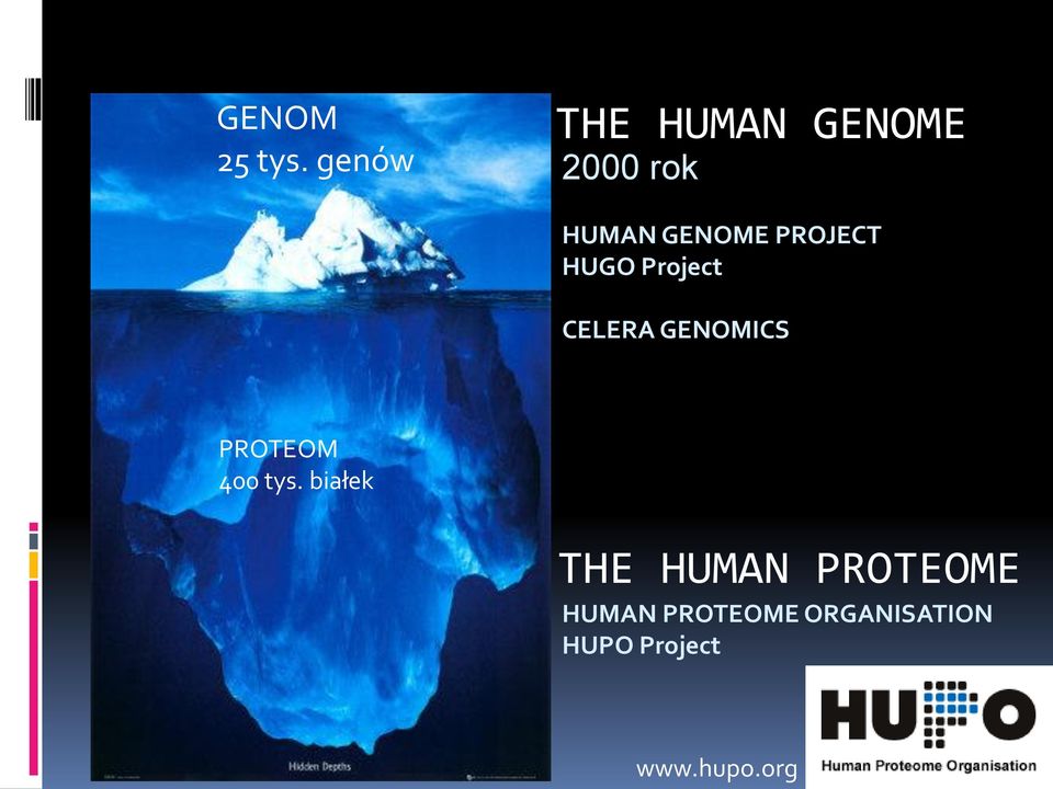 PROJECT HUGO Project CELERA GENOMICS PROTEOM